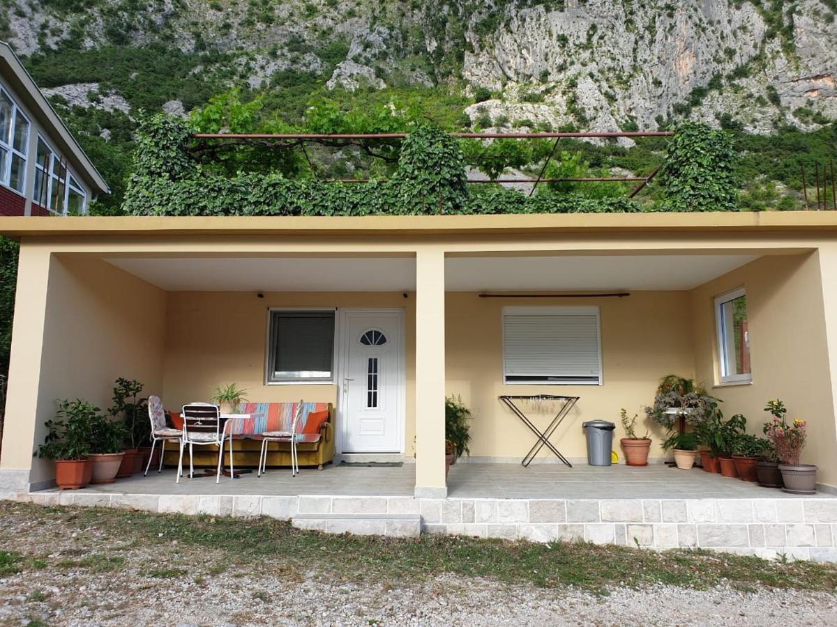 Apartment Jelena Kotor Exterior photo