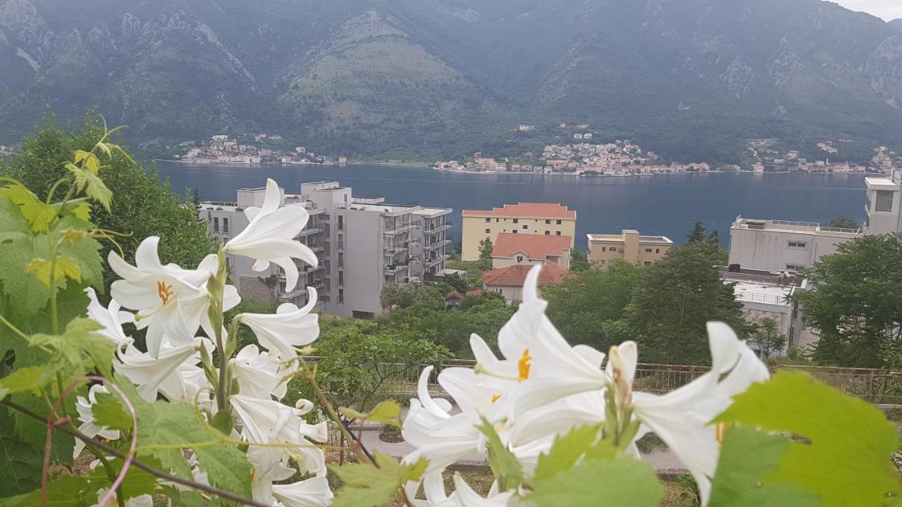 Apartment Jelena Kotor Exterior photo